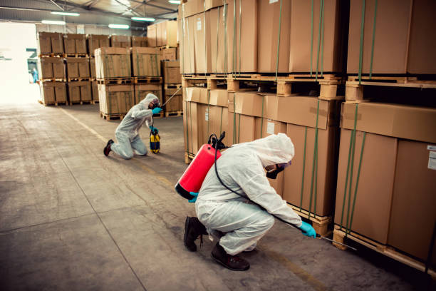 Best Wildlife Control Services  in Jenkins, KY