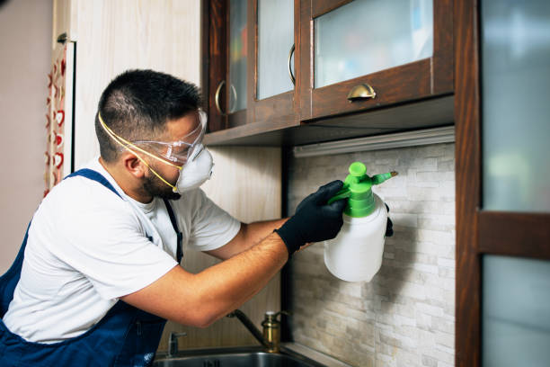Best Best Pest Control Companies  in Jenkins, KY