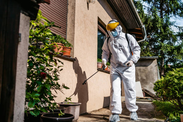 Best Termite Control Services  in Jenkins, KY