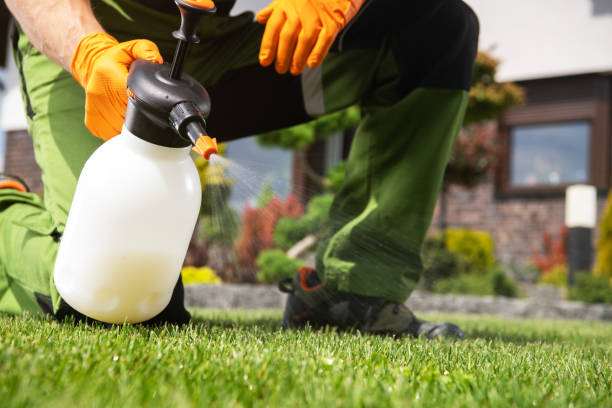 Wildlife Control Services in Jenkins, KY