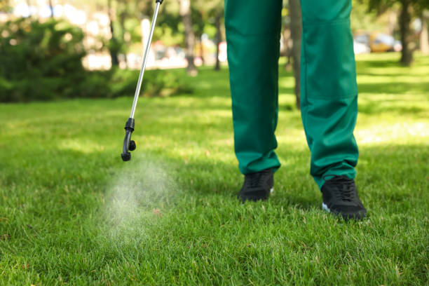 Best Best Pest Control Companies  in Jenkins, KY