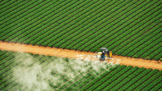 Best Insect Control  in Jenkins, KY