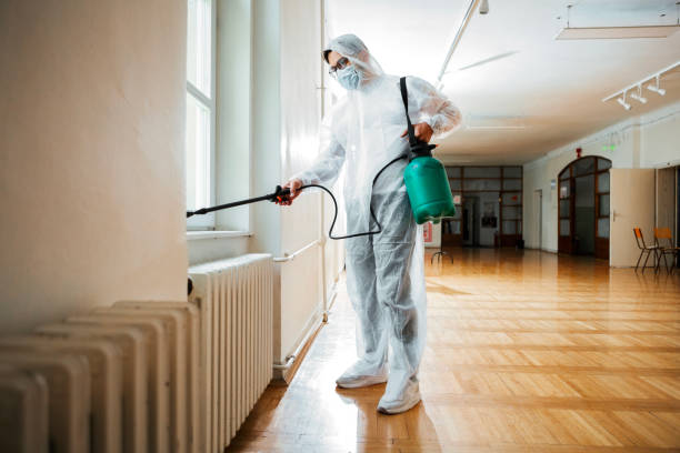 Best Termite Control Services  in Jenkins, KY
